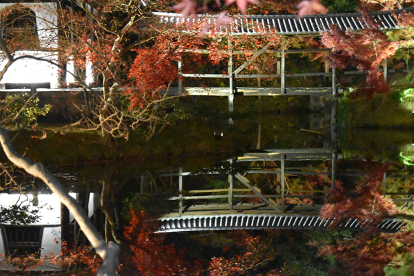 京都紅葉巡り・ライトアップタイトル画像