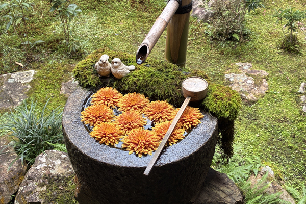 京都御朱印巡り2025秋案内画像