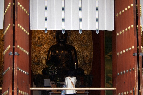 奈良薬師寺案内画像