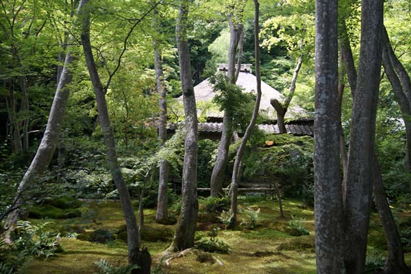 京都嵯峨野の案内画像